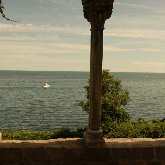 Sunny Dreamscape☀️