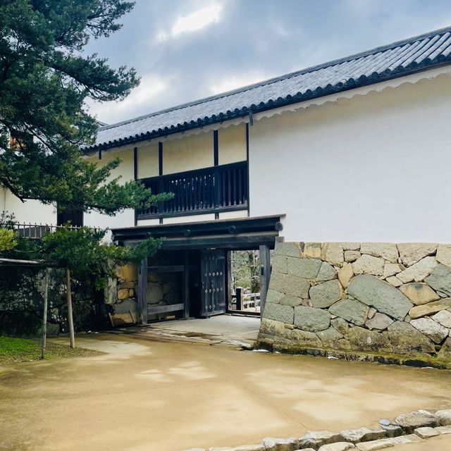【滋賀県/国宝  彦根城🏯】