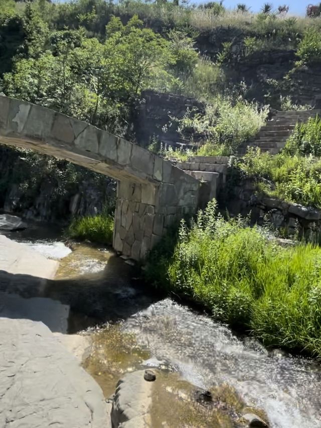 【ジョージア🇬🇪/自然豊かな巨大な植物園 】