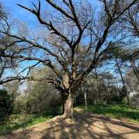 Nature lover, don’t miss this!