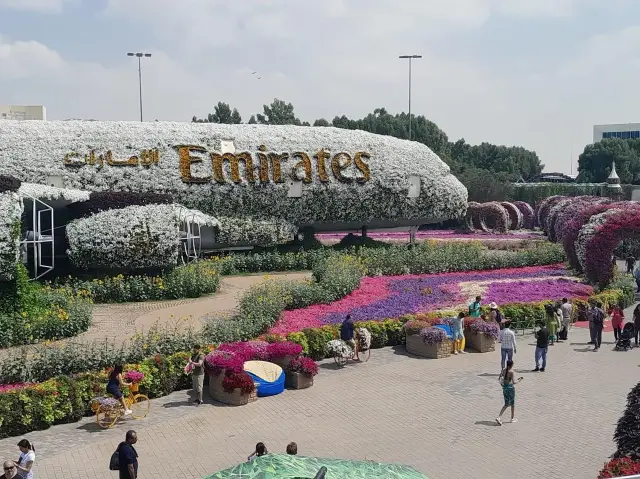 Do NOT miss: Dubai Miracle Garden 🌸🌼