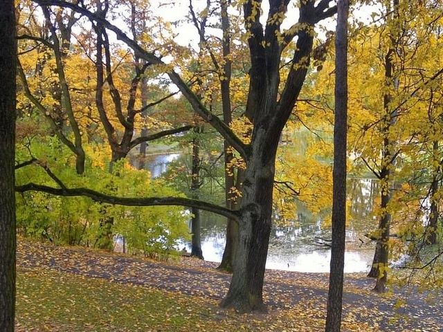 Autumn feelings in Arcadia Park Riga 🗺️