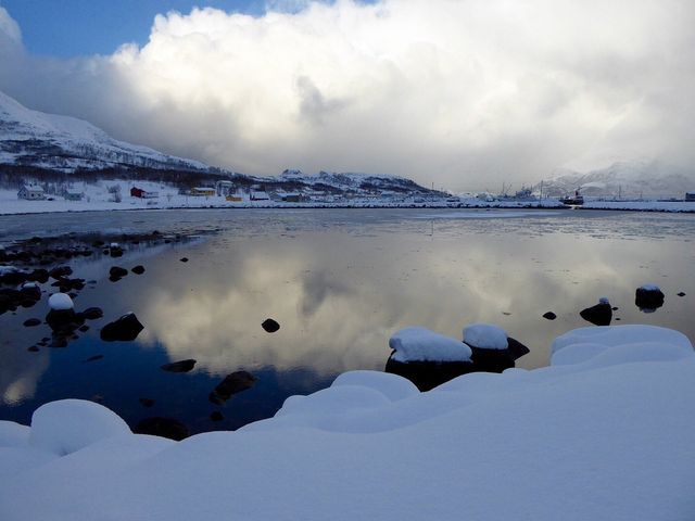 Arctic Majesty in Tromsø 🇳🇴❄️