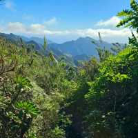 Anaga Rural Park walk. Tenerife.