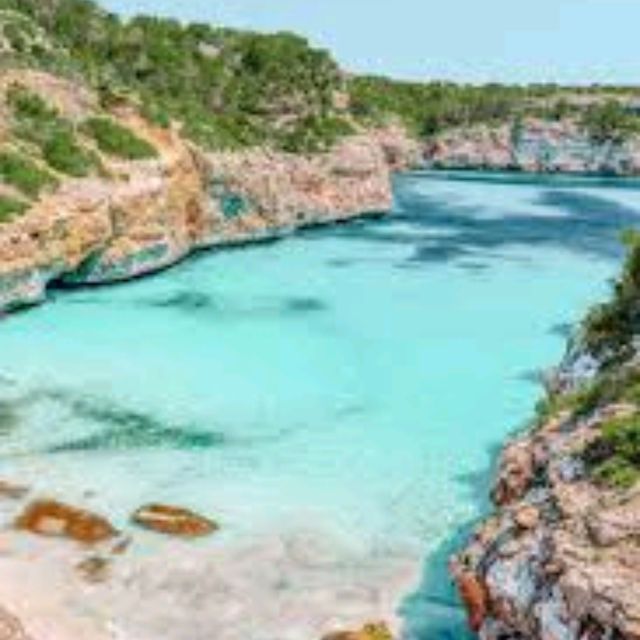 Alcudia beach days