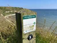 Exploring the Wonders of Danes Dyke Nature Reserve 🌿🐦