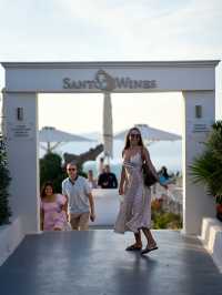 Santo wines - the best in Santorini
