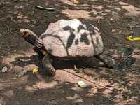 Bergen County Zoo 🇺🇸