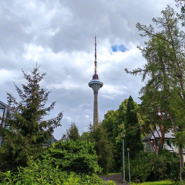 The highest open-view platform in the Nordic countries!🗼