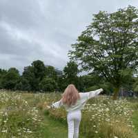 Explore the Beauty of Kensington Forest