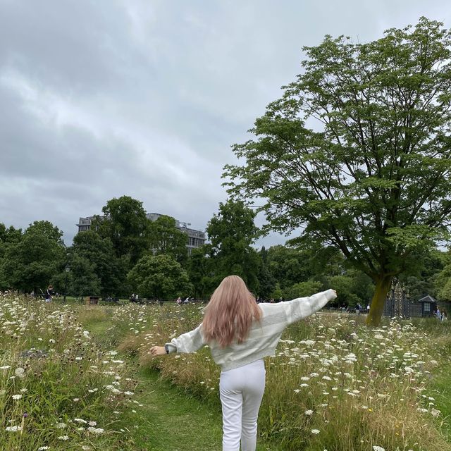 Explore the Beauty of Kensington Forest