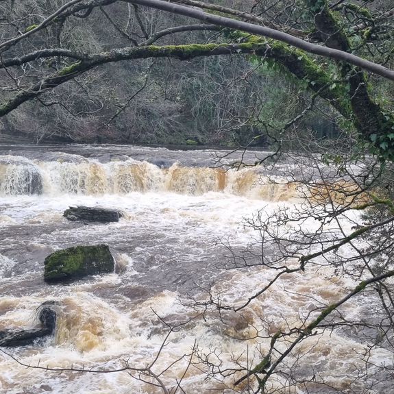 Don’t go chasing waterfalls 