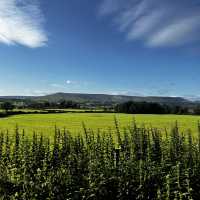 Summer in Lancashire 