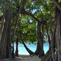 Ecoboo Maldives - perfect honeymoon experience 