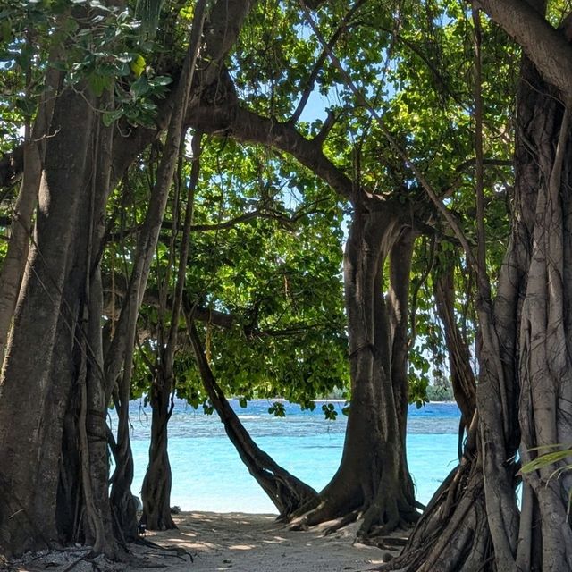 Ecoboo Maldives - perfect honeymoon experience 