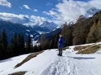 Snowy Escapes