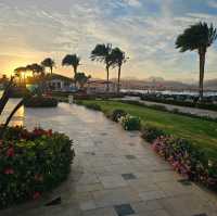 Perfect Winter Sun Seeking Escape to Sharm El Sheikh