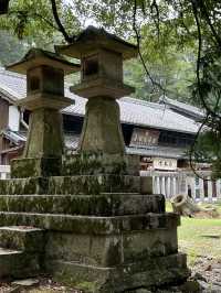 NARA, JAPAN: MY UNFORGETTABLE DAY AMONG DEERS AND TEMPLES 