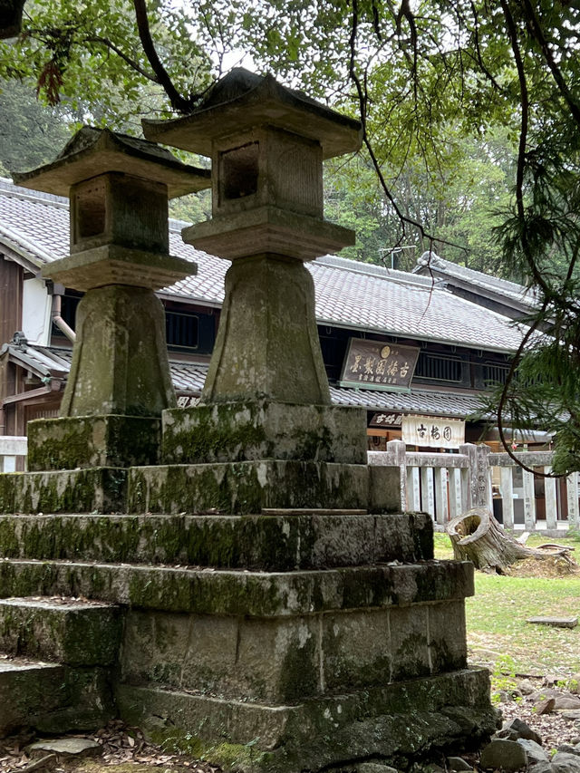 NARA, JAPAN: MY UNFORGETTABLE DAY AMONG DEERS AND TEMPLES 
