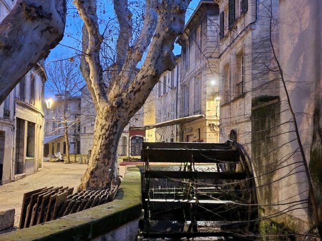 The Mysterious Beauty of Avignon