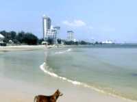 Enjoy the beauty of the "Green Lung of Bangkok": Bang Krachao!