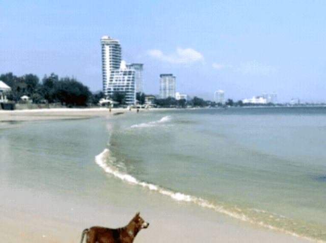 Enjoy the beauty of the "Green Lung of Bangkok": Bang Krachao!