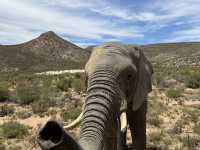 Aquila Game Reserve Safari