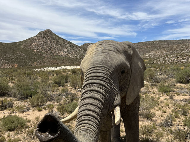 Aquila Game Reserve Safari