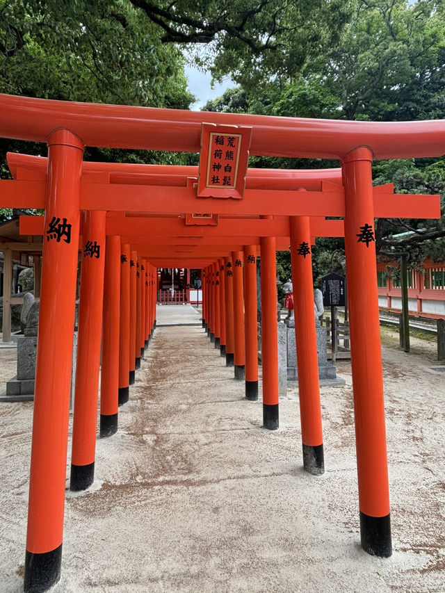 📍福崗旅遊//慢活的日本城市