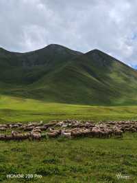 Chasing Stars and Silence: My Nomadic Jeep Journey Through Almaty Region’s Wild Soul
