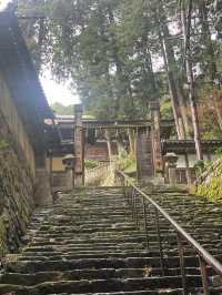 A temple greeted by a thousand-handed Kannon with the scent of sandalwood