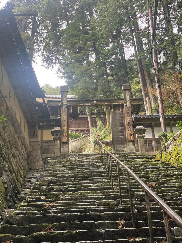 A temple greeted by a thousand-handed Kannon with the scent of sandalwood