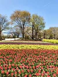 Spring at Katsunuma Garden – A Free Floral Escape