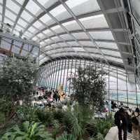 空中綠洲：倫敦Sky Garden觀景體驗