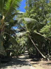 Best Place in Mahe to meet the tortoises