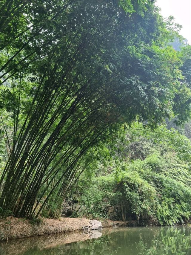 Ninh Binh Trang An 1 day comprehensive itinerary