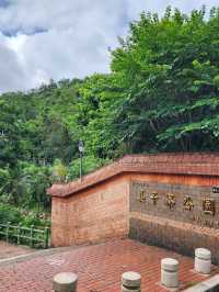 走讀姜子寮聚落及森林療癒步道～絕壁步道