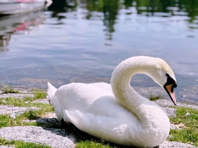 Milan Day Trip Itinerary 🇮🇹