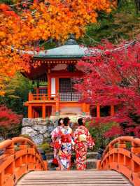 Kyoto – Timeless Beauty and Spiritual Serenity