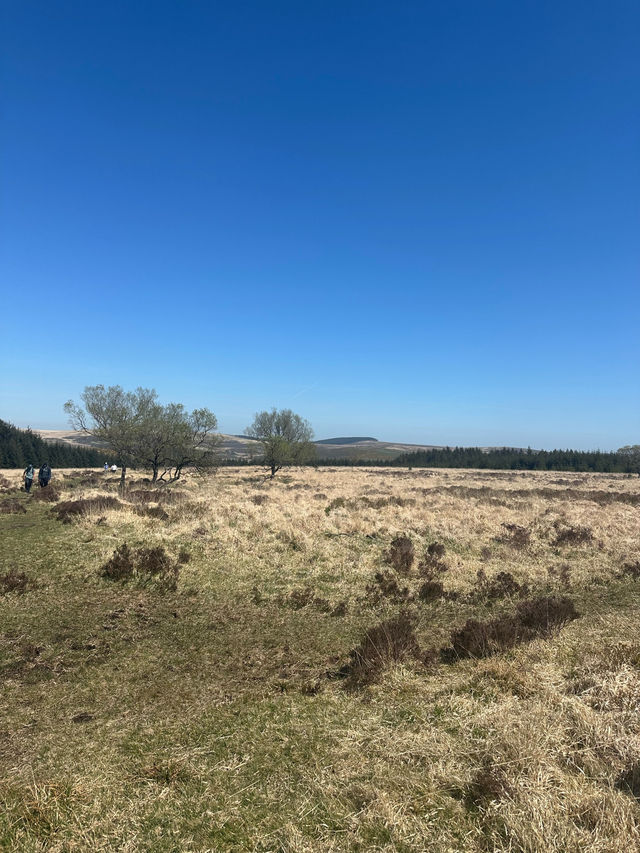 A day at Dartmoor National Park 🌿
