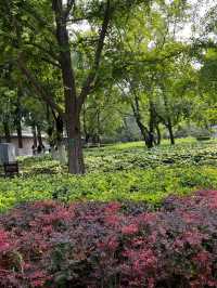 Temple of Earth Park