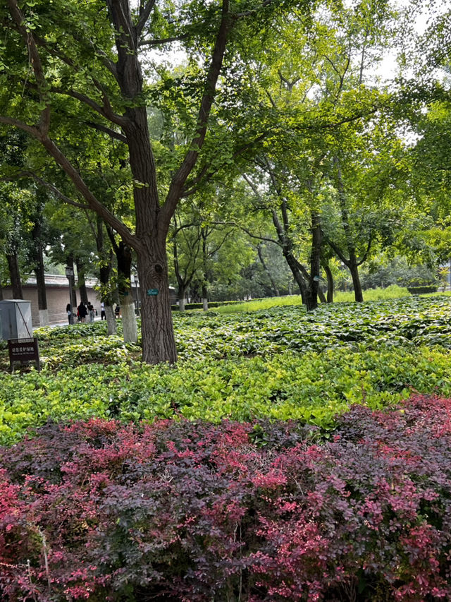 Temple of Earth Park