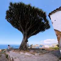 Sun, Stars & Volcano Trails: A Dreamy Holiday in Tenerife