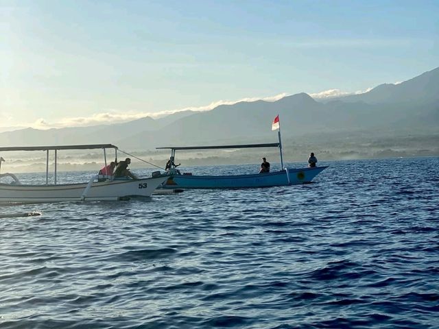 🐬 Lovina – Bali’s Tranquil Northern Escape