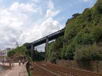 Highlights of my recent visit to Dawlish 