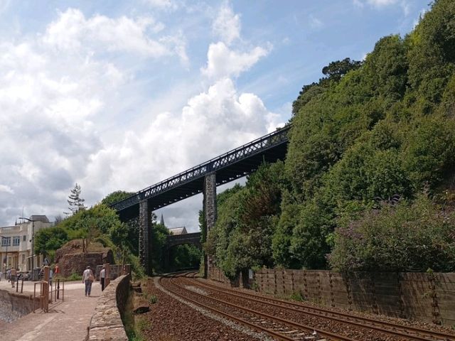 Highlights of my recent visit to Dawlish 