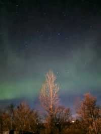 Chasing the Aurora in Iceland: Pro Tips & Tricks! 🌌