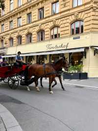 A Day in Vienna, City of Mozart 🎶