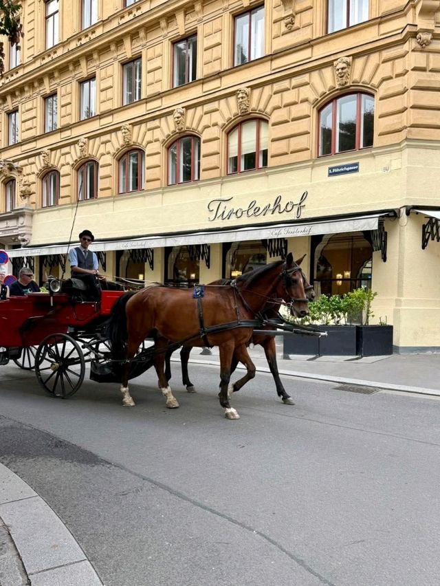 A Day in Vienna, City of Mozart 🎶