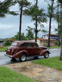 Step into Old Havana’s historic heart!